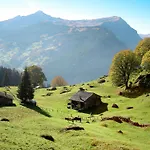 Auf Dem Vogelstein-2 By Interhome