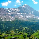 Auf Dem Vogelstein-2 By Interhome Apartment Grindelwald