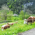 Διαμέρισμα Auf Dem Vogelstein-2 By Interhome