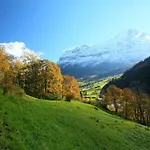 Auf Dem Vogelstein-2 By Interhome Apartment