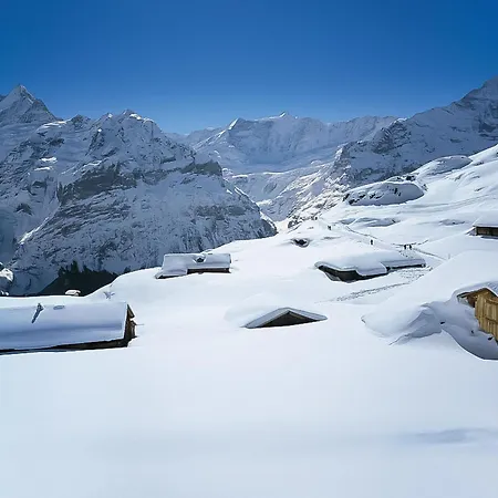 Lejlighed Auf Dem Vogelstein-2 By Interhome Grindelwald