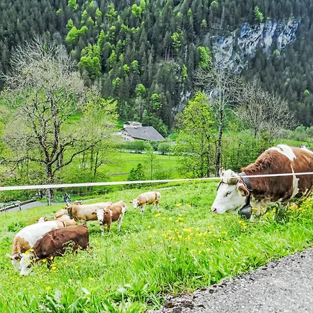 Appartamento Auf Dem Vogelstein-2 By Interhome